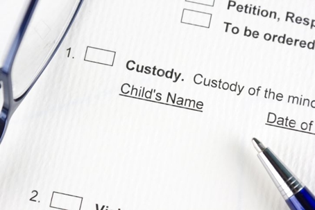 child custody form
